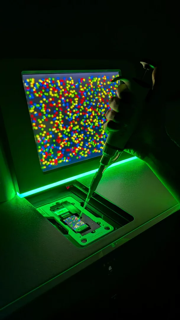 Illumina d'immenso