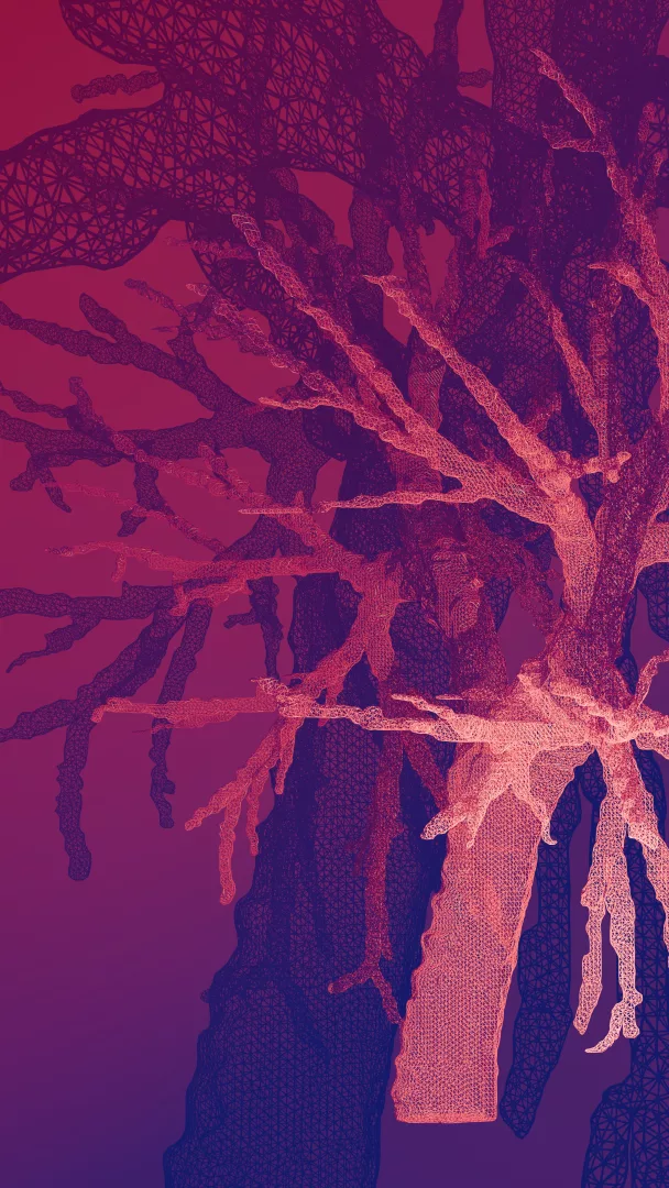 L’albero invisibile in codice