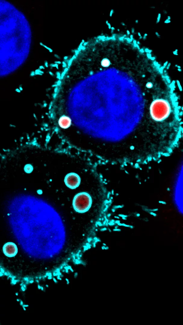 Una fabbrica… molto contagiosa