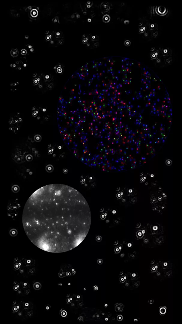 Vescicole Extracellulari: l'universo nascosto della comunicazione tra le cellule